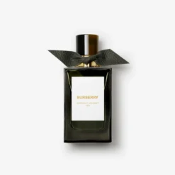 Burberry Signatures Midnight Journey Eau de Parfum 100ml