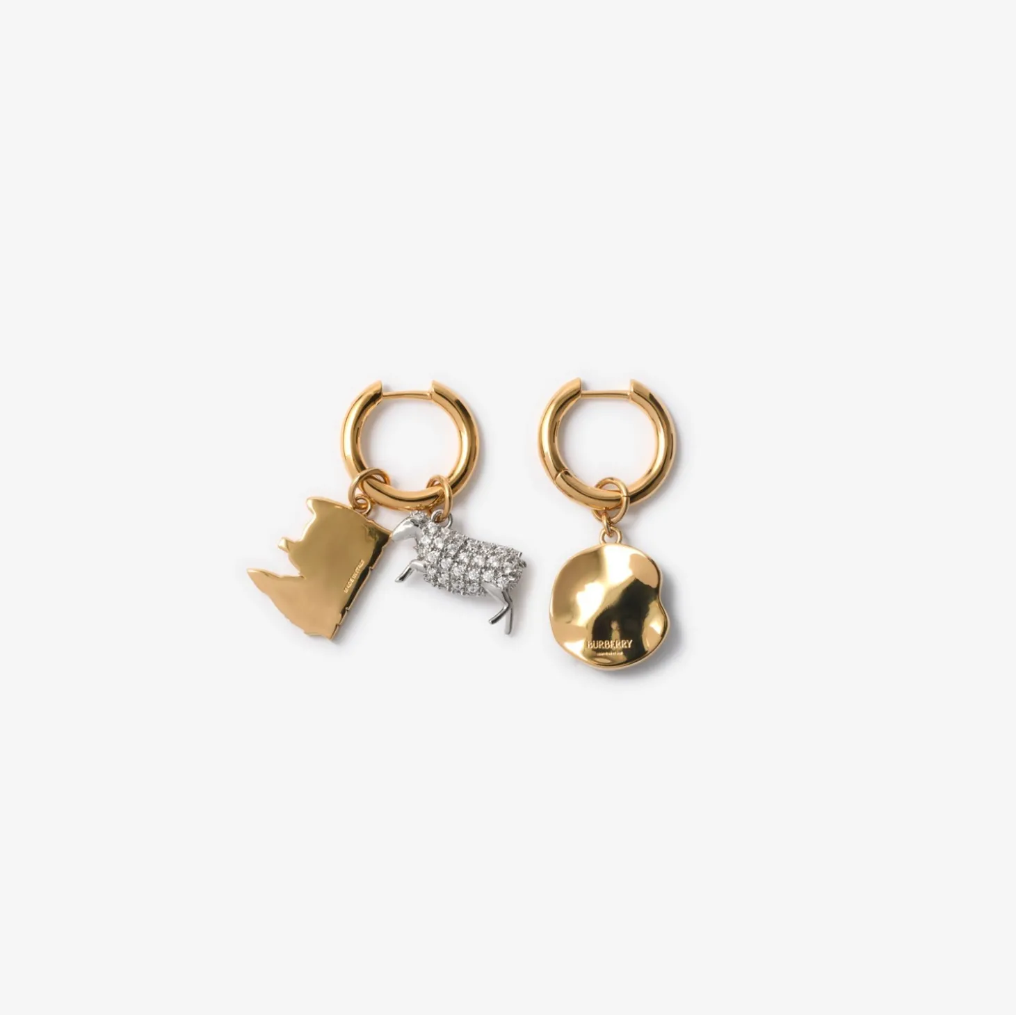 Charm Hoop Earrings