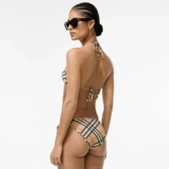 Check Bikini Briefs