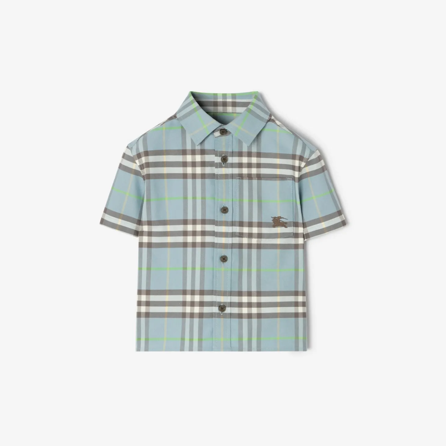 Check Cotton Oxford Shirt