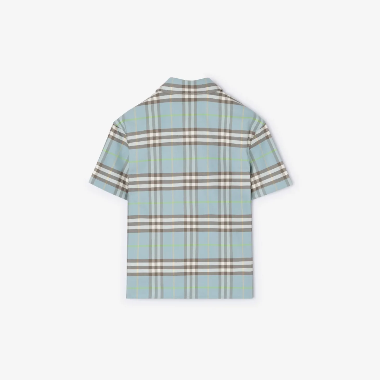 Check Cotton Oxford Shirt