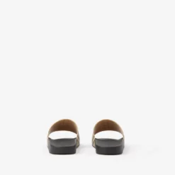 Check Slides