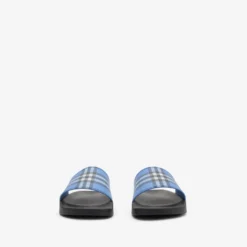 Check Slides