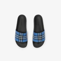Check Slides