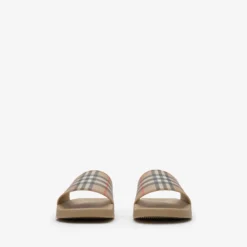 Check Slides