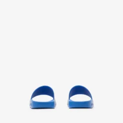Check Slides