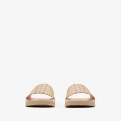 Check Slides