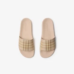Check Slides