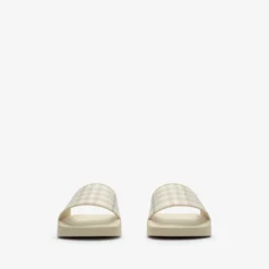 Check Slides