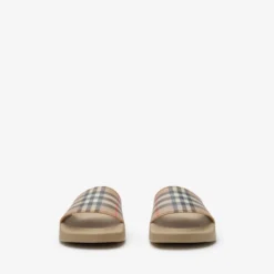 Check Slides