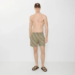 Check Swim Shorts