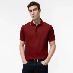 Check Trim Cotton Polo Shirt