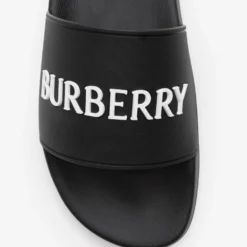Logo Slides