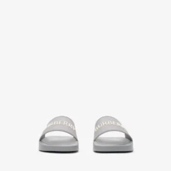 Logo Slides