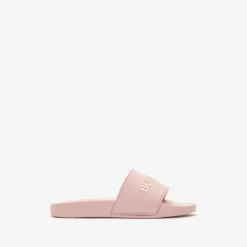 Logo Slides