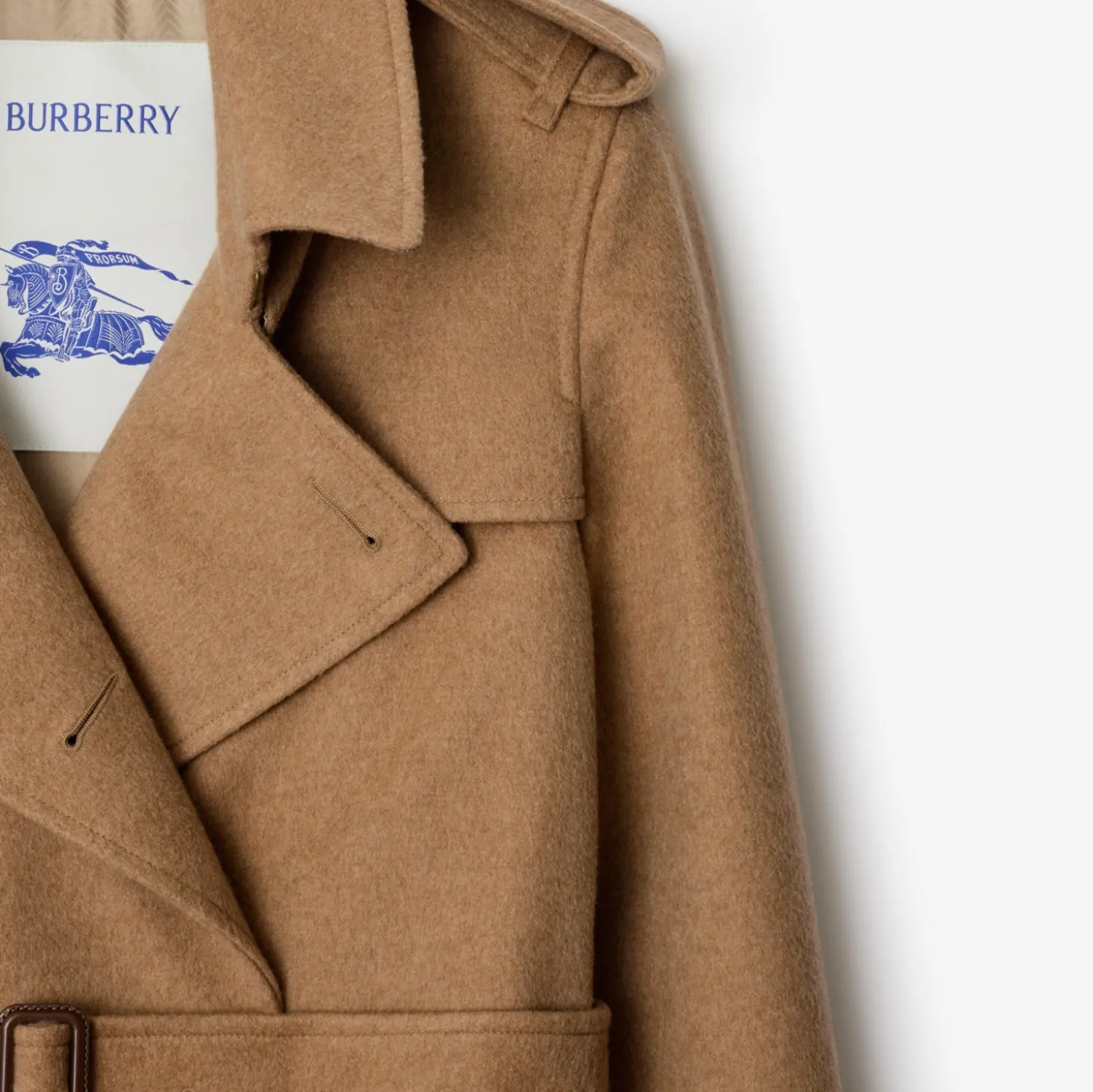Long Cashmere Kensington Trench Coat