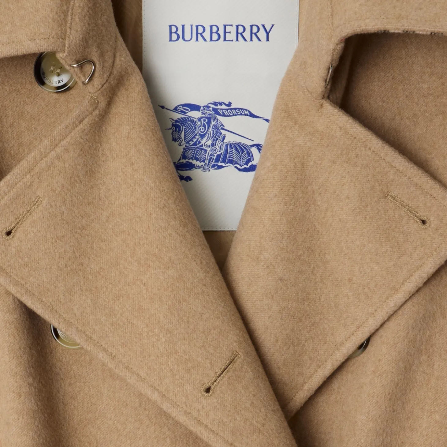 Long Cashmere Kensington Trench Coat