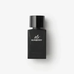 Mr. Burberry Eau de Parfum 100ml