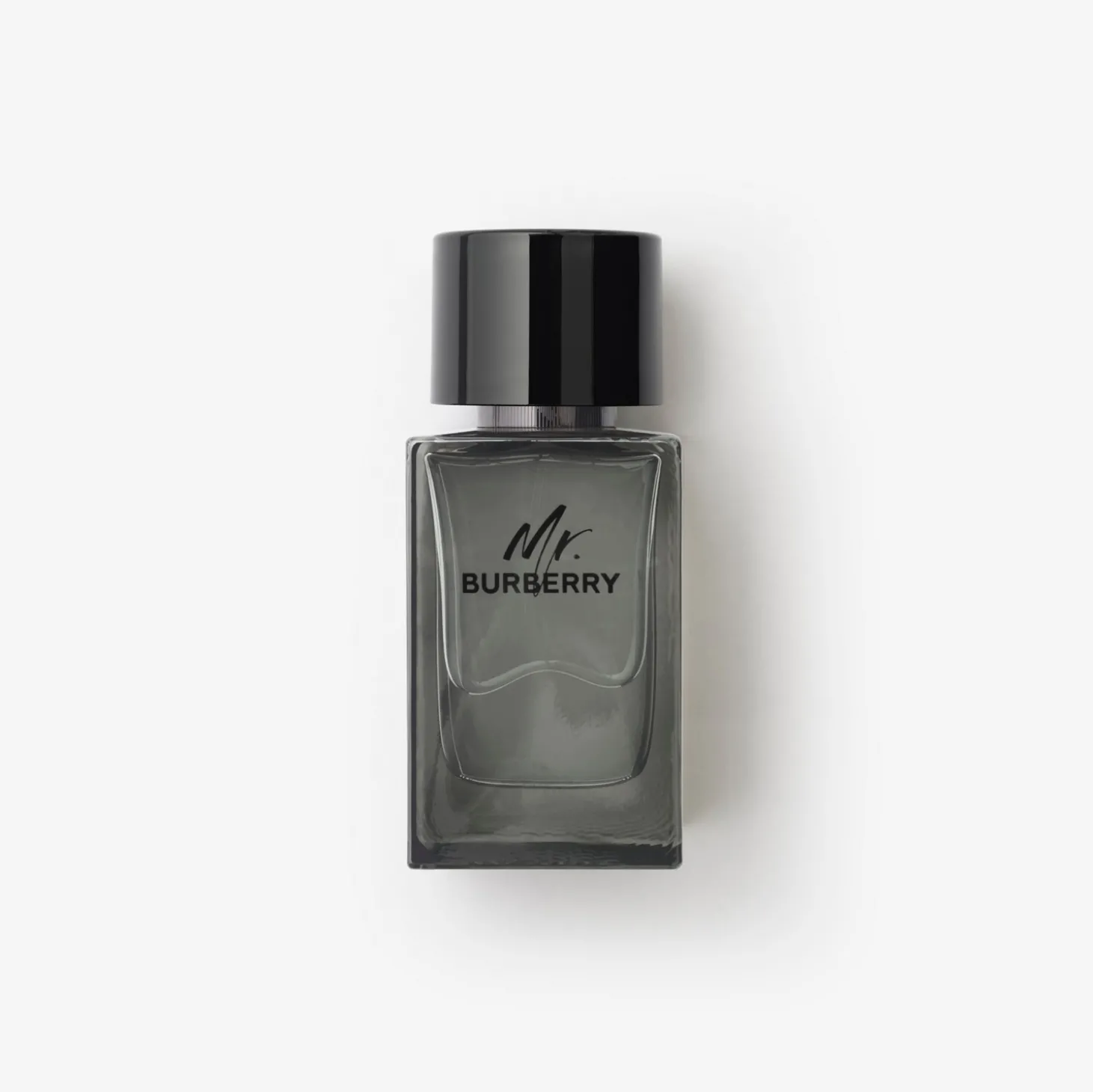 Mr. Burberry Eau de Toilette 100ml
