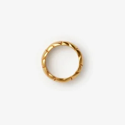 Shield Segment Ring