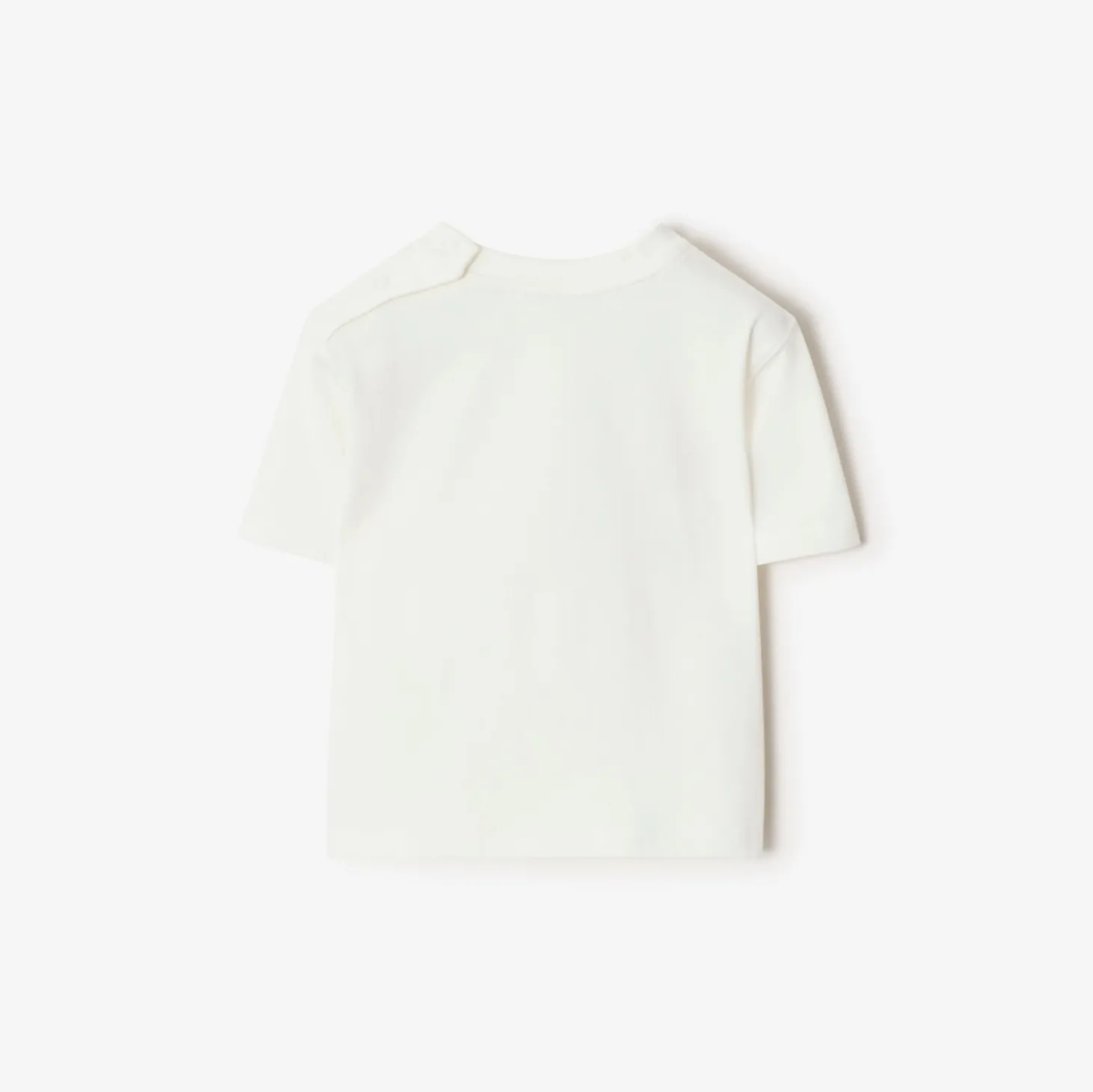 Surfer Bear Cotton T-shirt