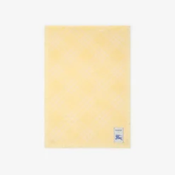 Wide Check Wool Silk Scarf
